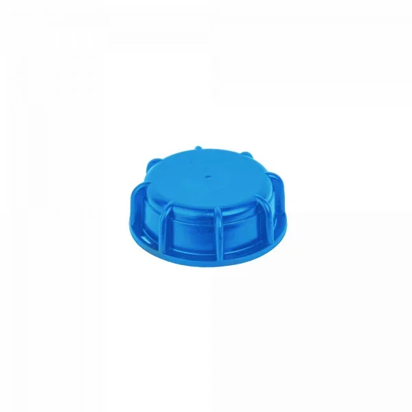 Гайка, торцева кришка IBC, РВ S100x8, IBCS100CAP-1 от Bradas - купить в интернет-магазине