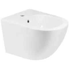 Біде підвісне MIXXUS PREMIUM ELLIPSE-0501 495х365х325mm (MP6469) от MIXXUS PREMIUM - купить в интернет-магазине