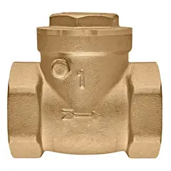 Клапан зворотній пелюстковий Koer KR.174-25 - 1" Т-подібний (KR5260) от KOER - купить в интернет-магазине