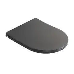 Сидіння-кришка для унітаза MIXXUS PREMIUM SEAT COVER ELLIPSE-2005 GRAY 445х360х37mm дюропластове швидкознімне з мікроліфтом от MIXXUS PREMIUM - купить в интернет-магазине